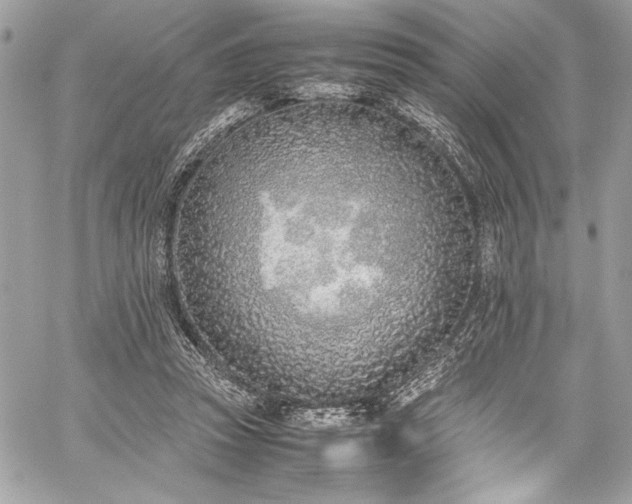 X0000059810353200510211122