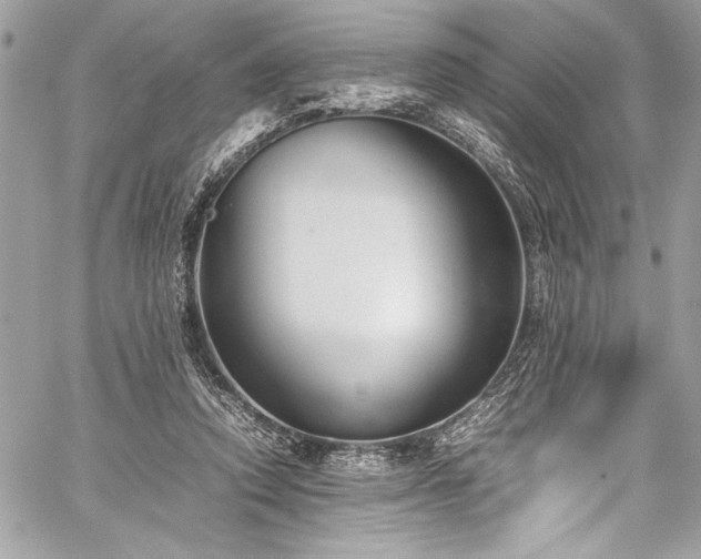 X0000059810354200510211122