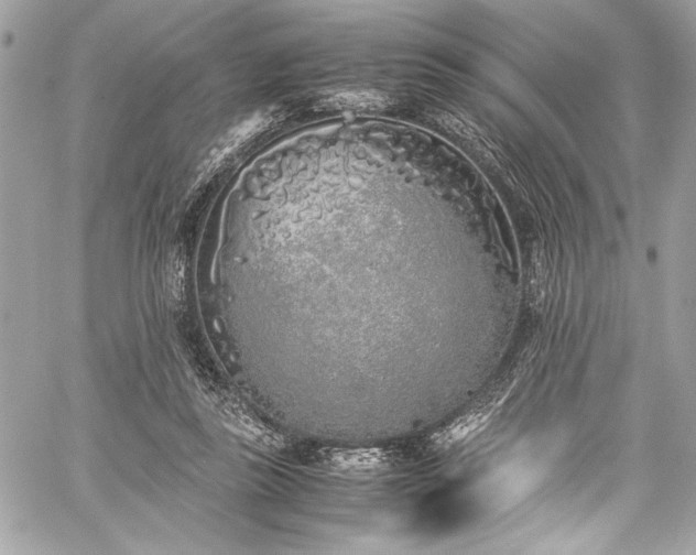 X0000059810355200510211122