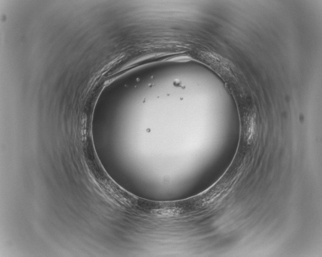 X0000059810356200510211122