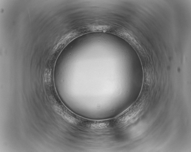 X0000059810357200510211122