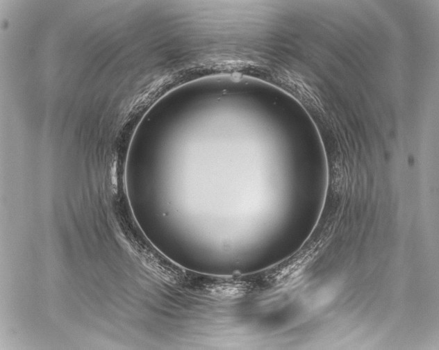 X0000059810358200510211122