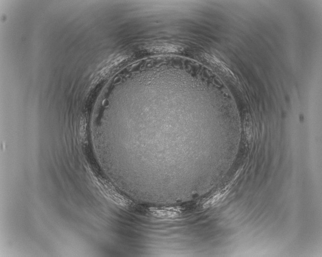 X0000059810359200510211122