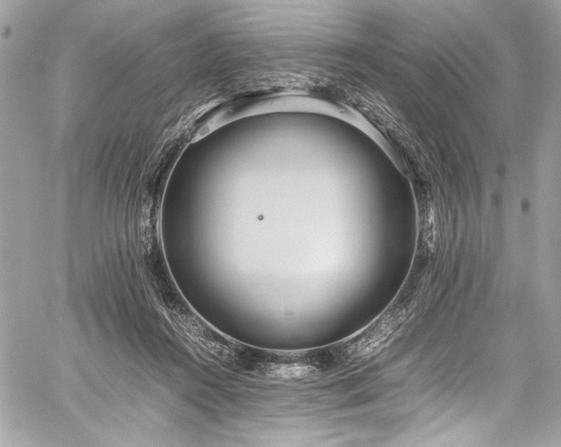 X0000059810360200510211122