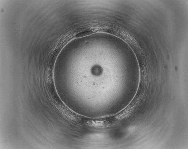 X0000059810361200510211122