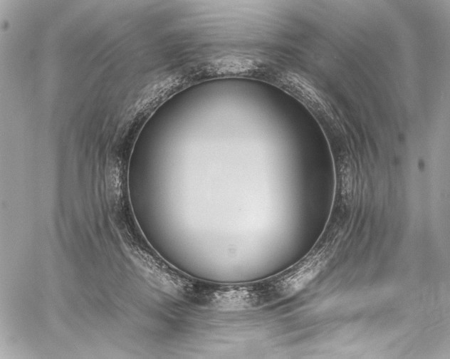 X0000059810362200510211122