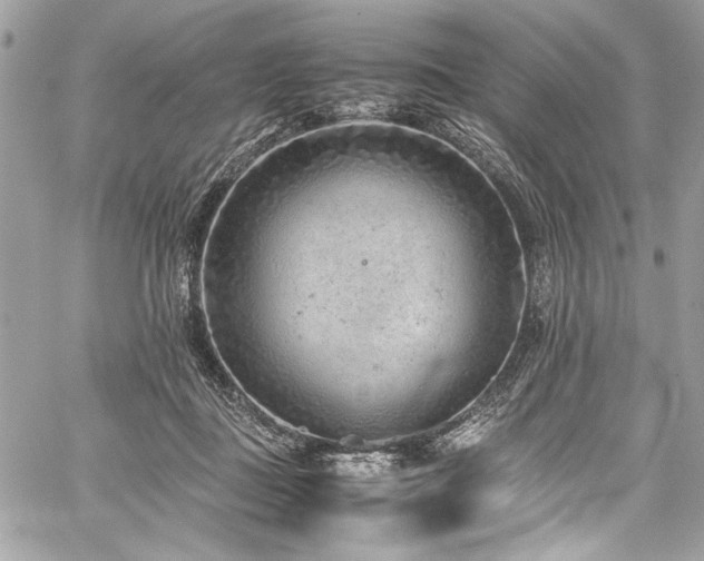 X0000059810363200510211122