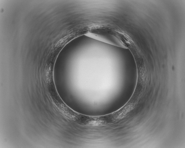 X0000059810364200510211122