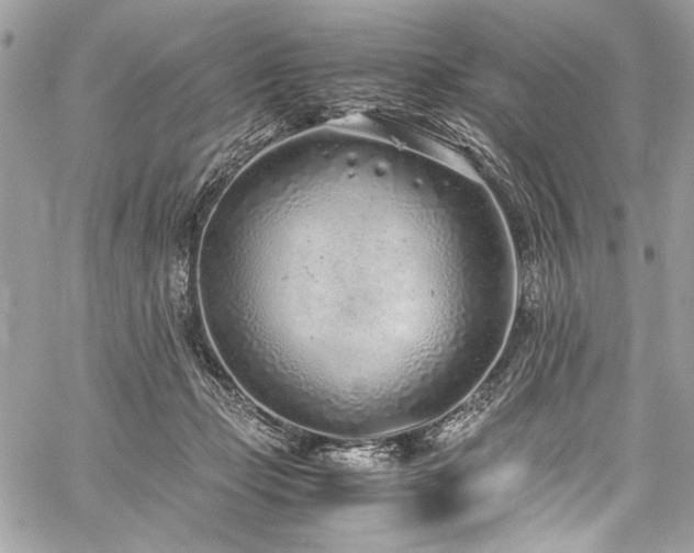 X0000059810365200510211123