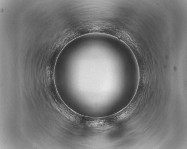 X0000059810366200510211123