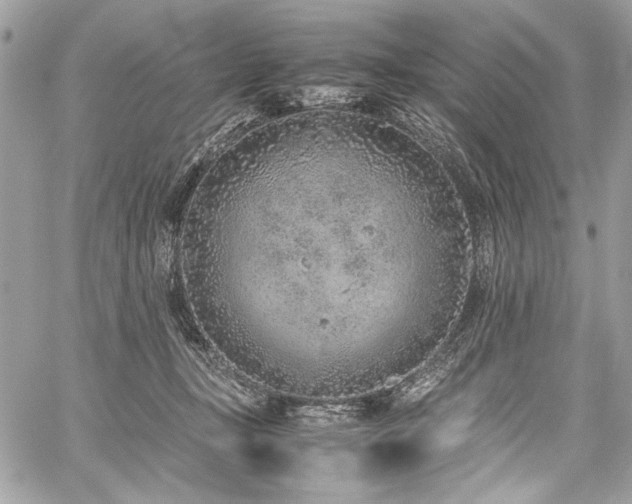 X0000059810367200510211123