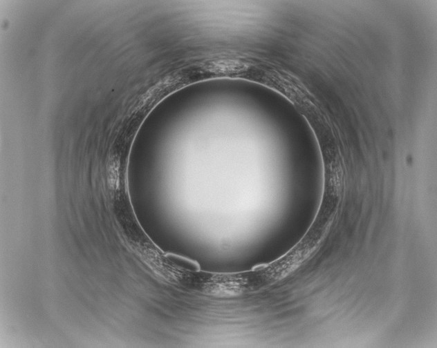 X0000059810368200510211123