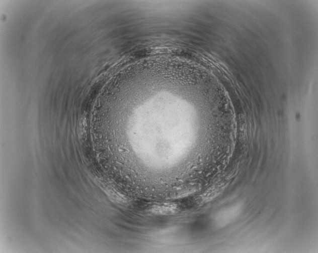 X0000059810369200510211123