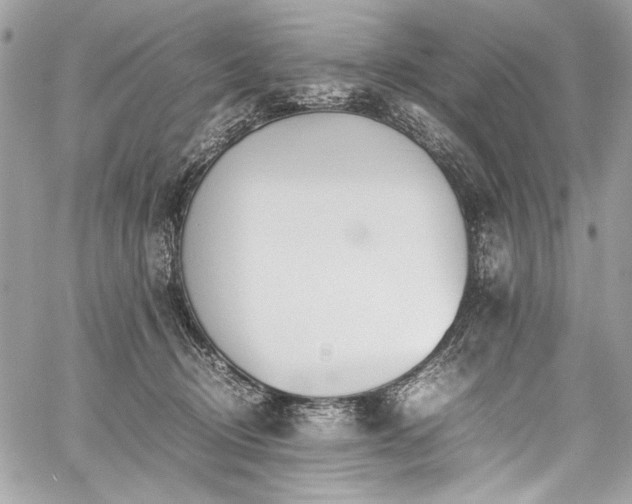 X0000059810370200510211123