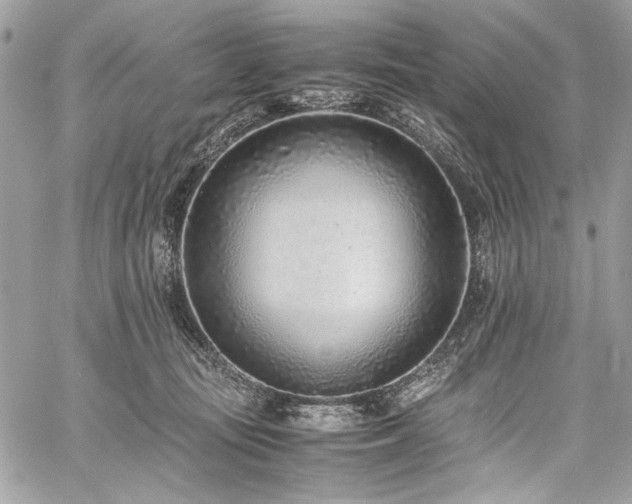 X0000059810371200510211123