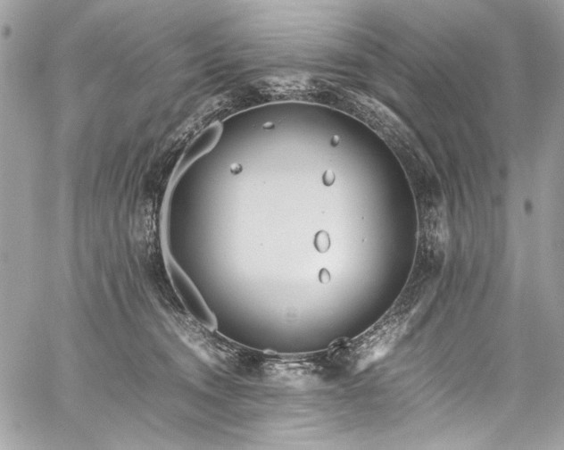 X0000059810372200510211123