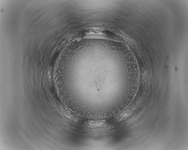 X0000059810373200510211123