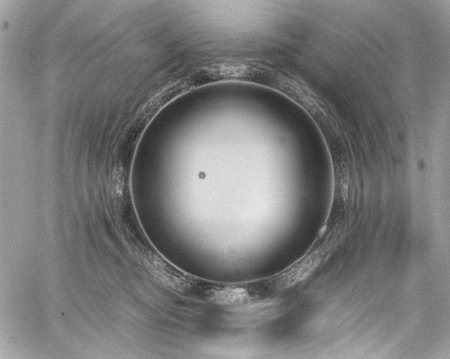 X0000059810374200510211123