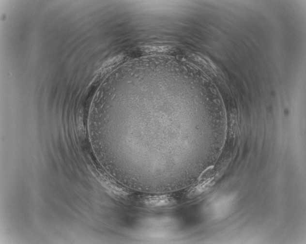 X0000059810377200510211123