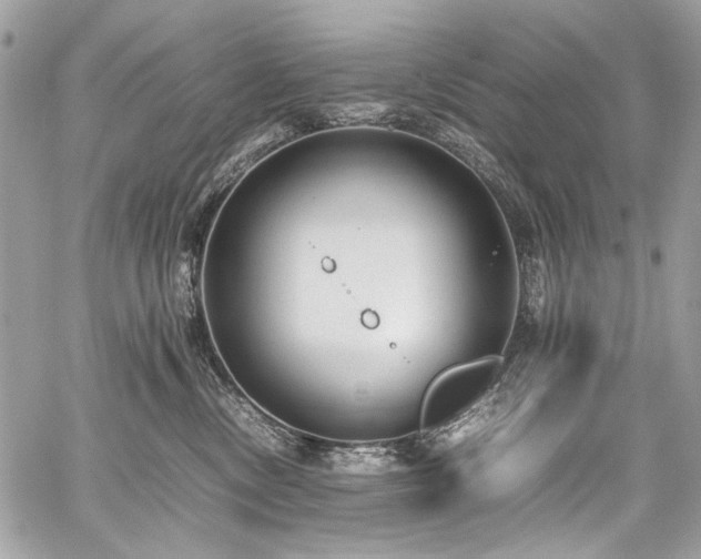 X0000059810378200510211123