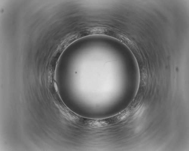 X0000059810379200510211123