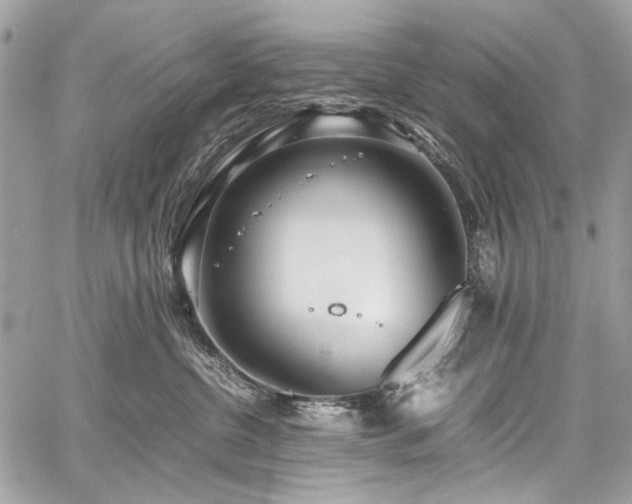 X0000059810380200510211123