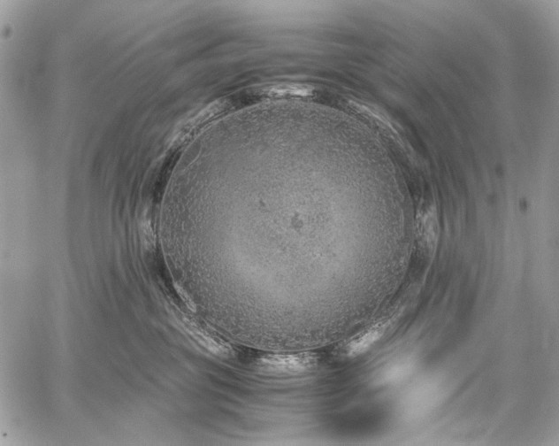 X0000059810381200510211123