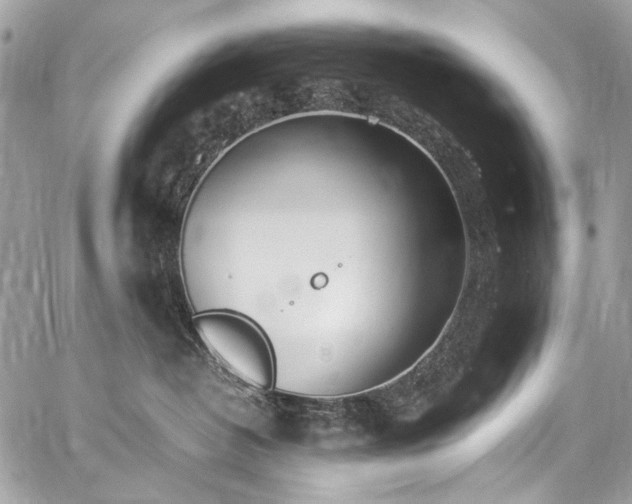 X0000059810382200510211123