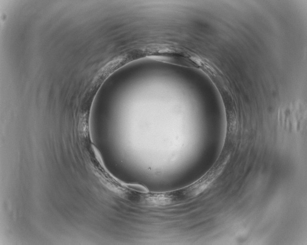 X0000059810383200510211123