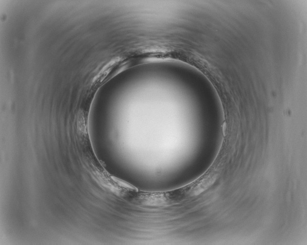 X0000059810384200510211123