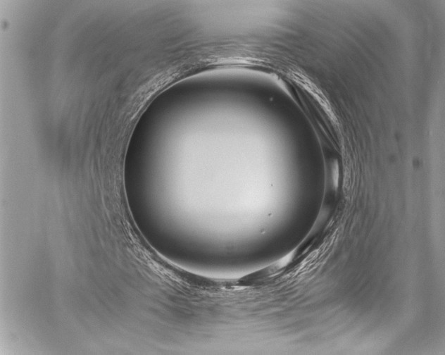 X0000059810385200510211122