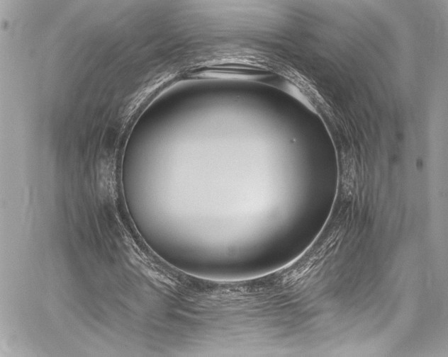 X0000059810386200510211122