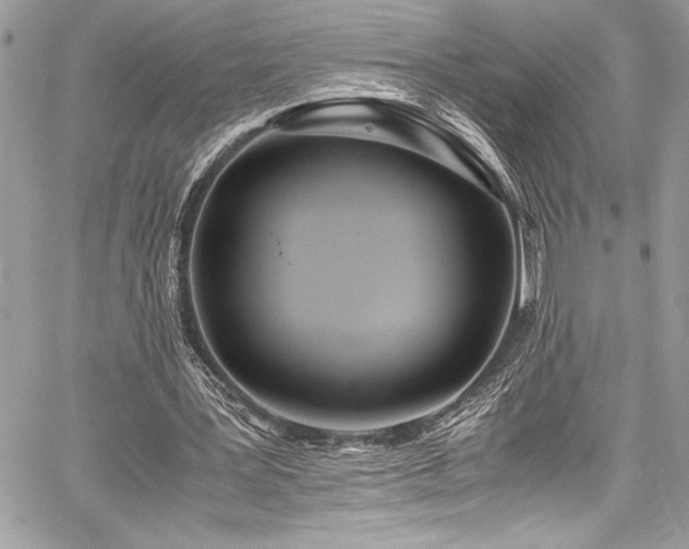 X0000059810387200510211122