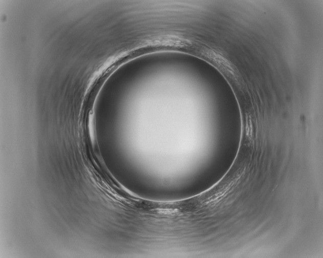 X0000059810388200510211122