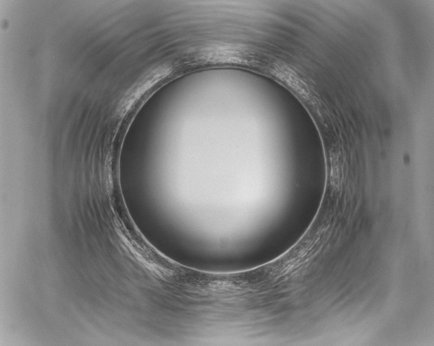 X0000059810390200510211122