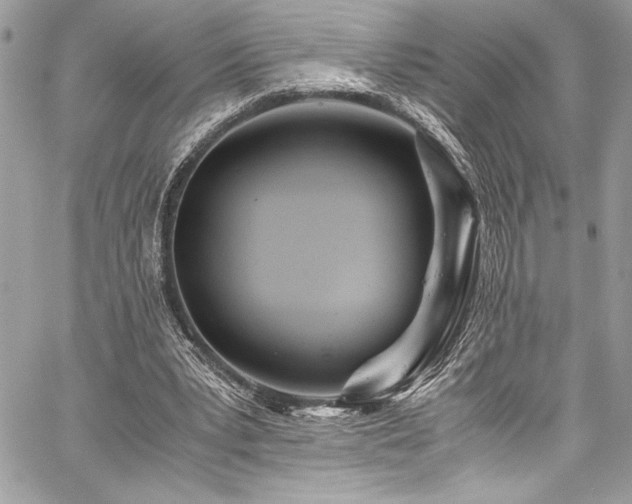 X0000059810391200510211122