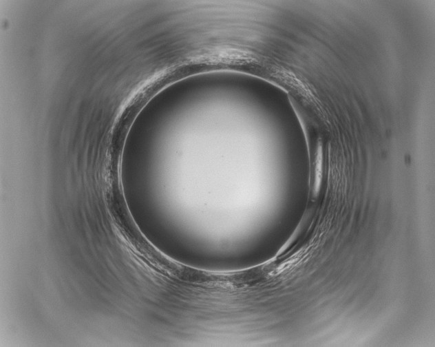 X0000059810392200510211122