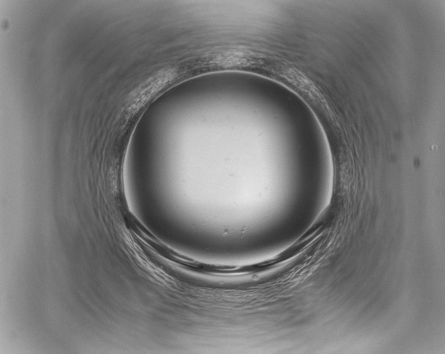 X0000059810393200510211122