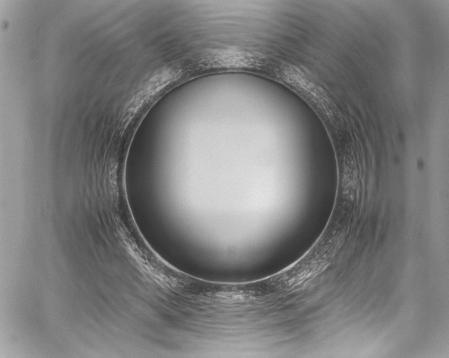 X0000059810394200510211122