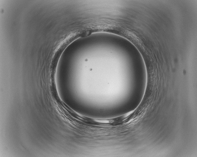 X0000059810395200510211122