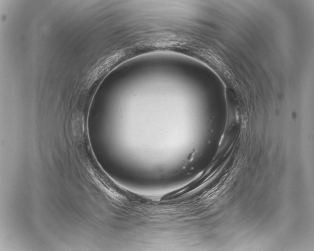 X0000059810397200510211122