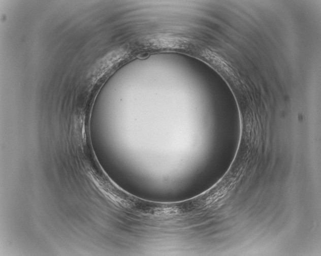 X0000059810398200510211122