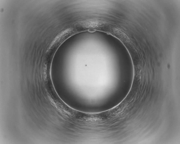 X0000059810400200510211122