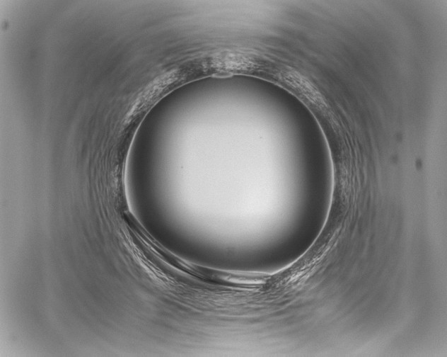 X0000059810401200510211122