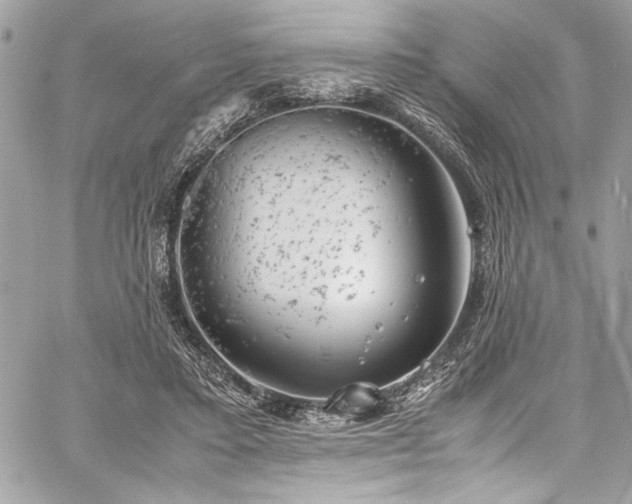 X0000059810403200510211122