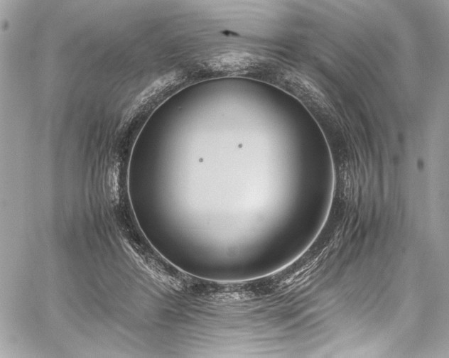 X0000059810404200510211122