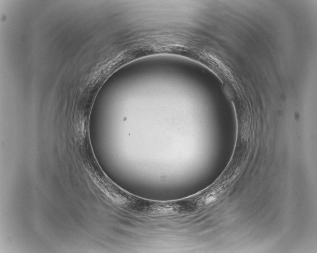 X0000059810405200510211122