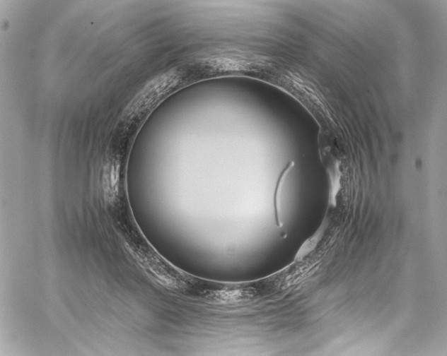 X0000059810406200510211122