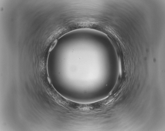 X0000059810407200510211122