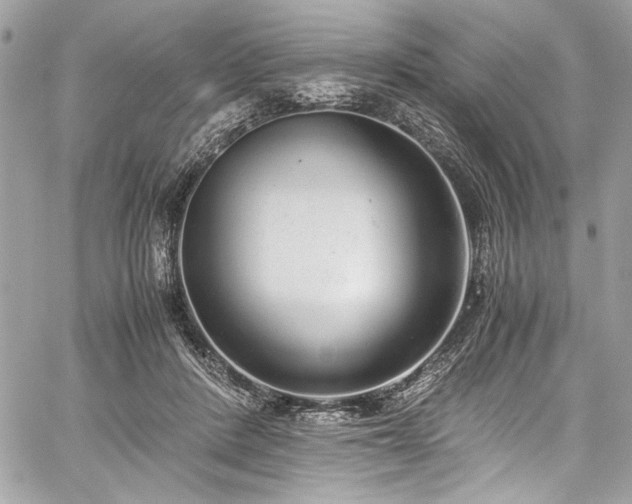 X0000059810408200510211122